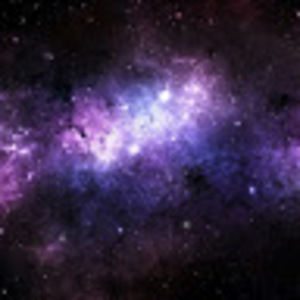 Meet your Posher, Shauna